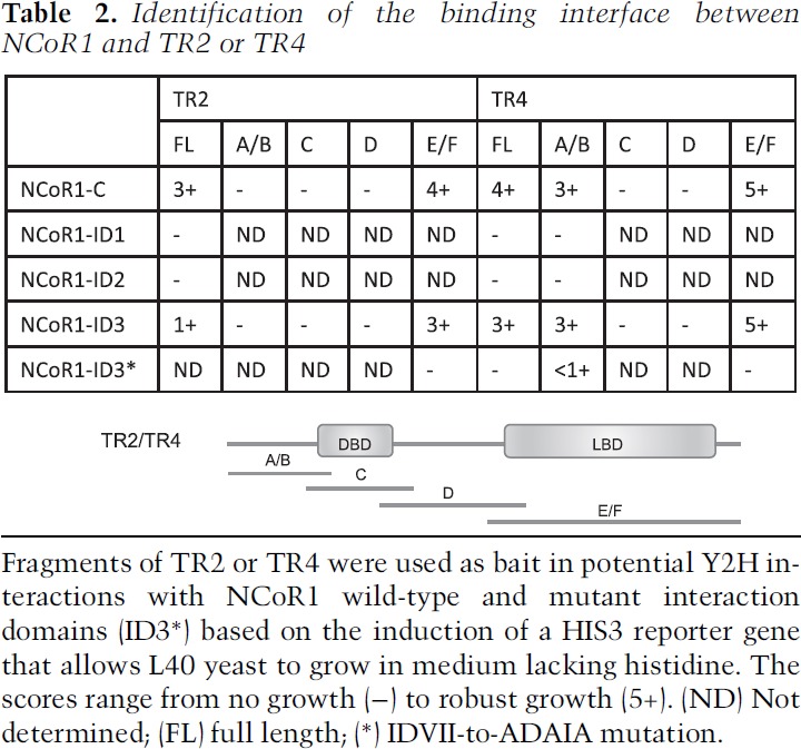 graphic file with name 1537tb02.jpg