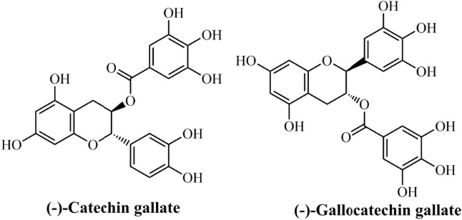 Fig. 13