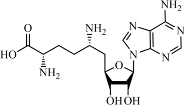 Fig. 11