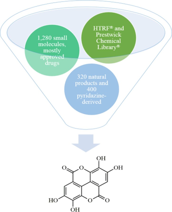 Fig. 12