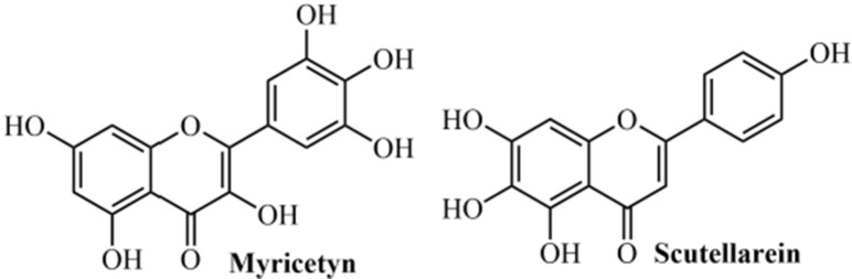 Fig. 10