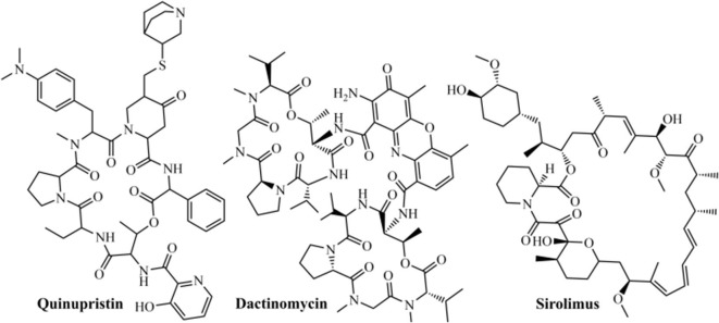 Fig. 8