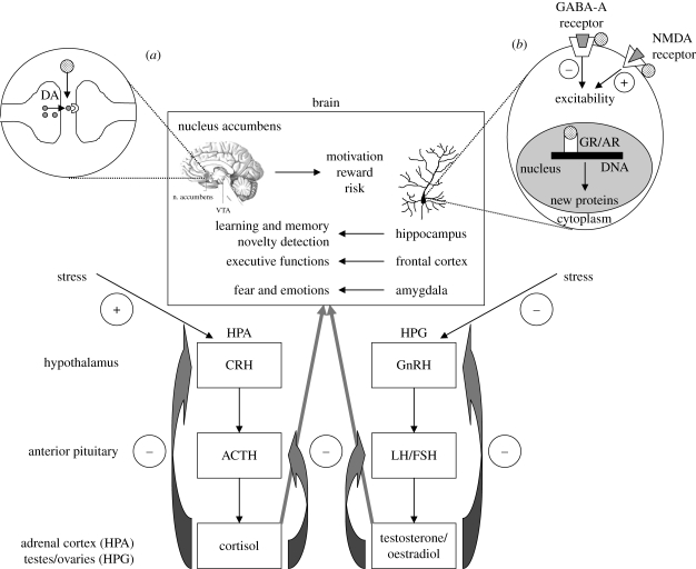 Figure 1.