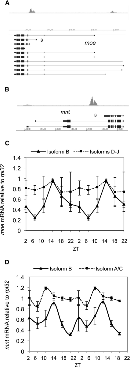 Figure 5.