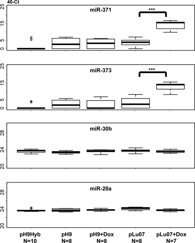 Figure 7