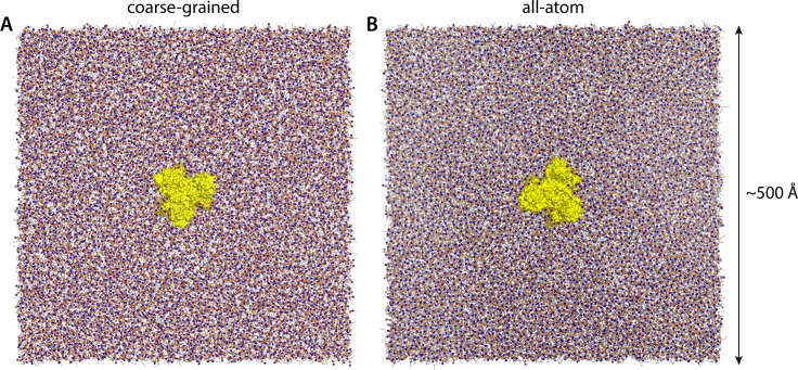 Figure 1—figure supplement 1.