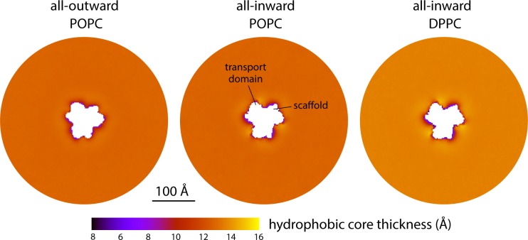 Figure 4—figure supplement 1.