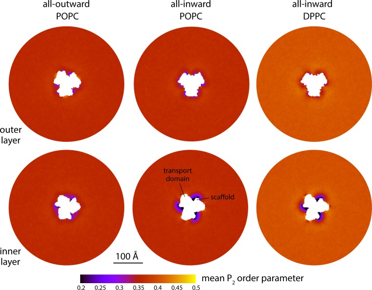 Figure 4—figure supplement 2.