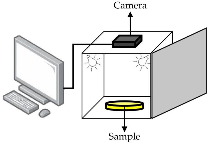 Figure 10