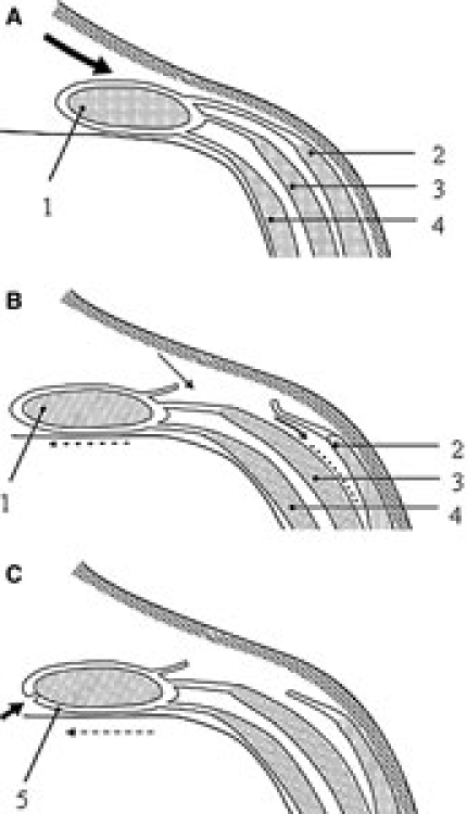 Figure 1.