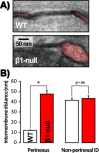 Figure 4—figure supplement 1.