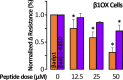 Figure 3—figure supplement 1.