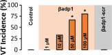 Figure 7—figure supplement 1.
