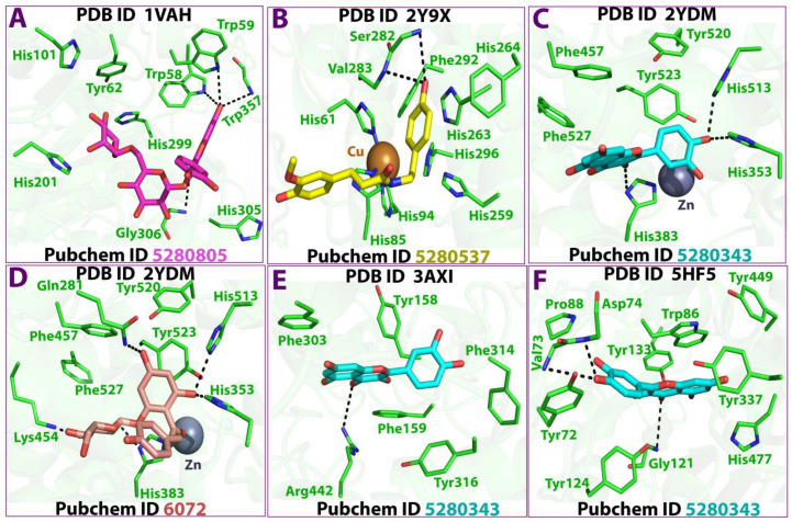 Figure 6