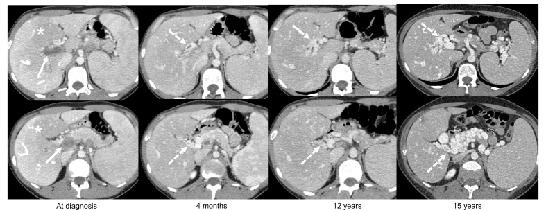 Fig. 2