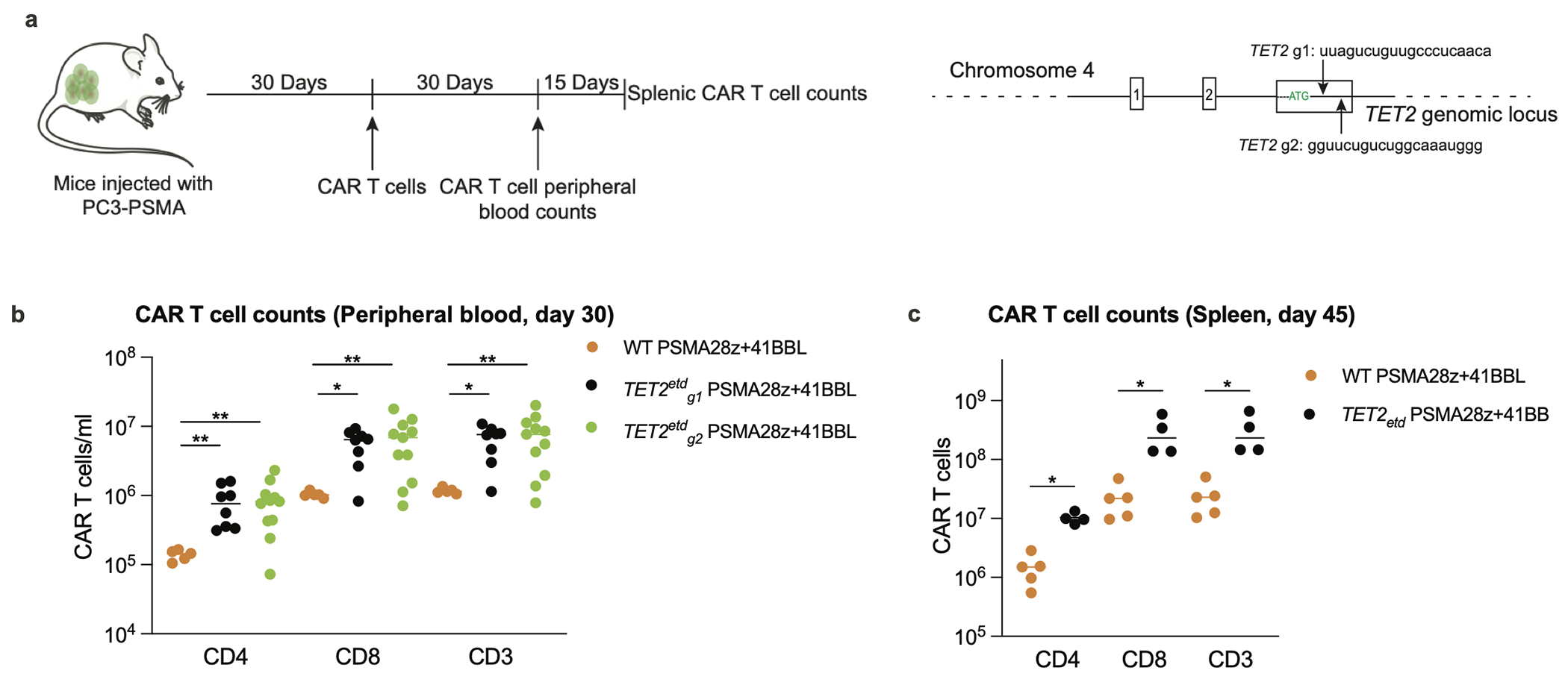 Extended Data Fig. 4: