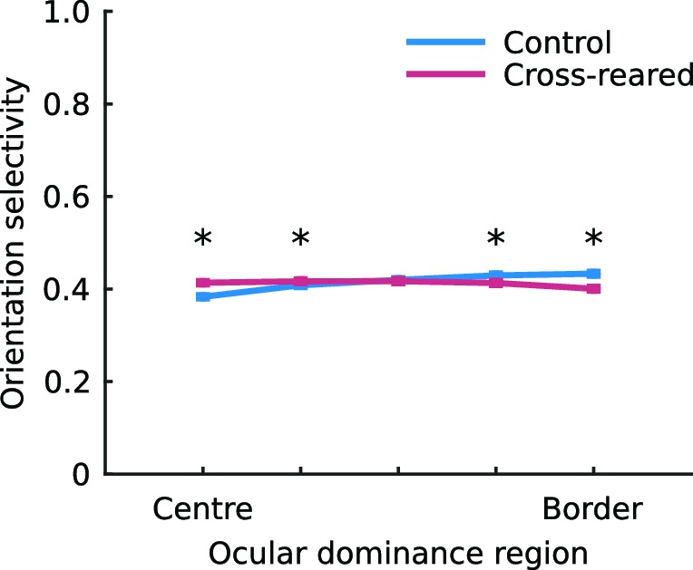 Figure 6—figure supplement 2.