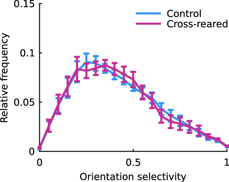 Figure 5—figure supplement 1.