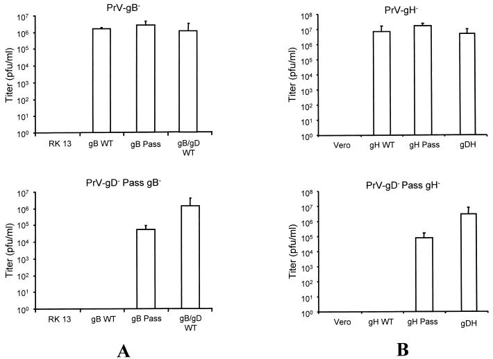 FIG. 7