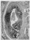 520-2