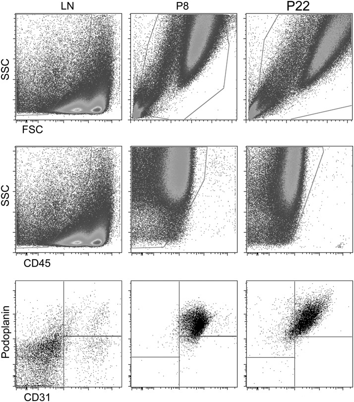 FIG. 2.