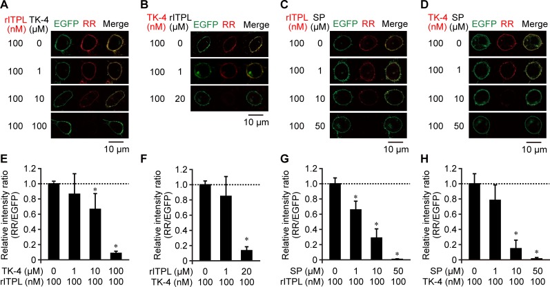 Fig 4