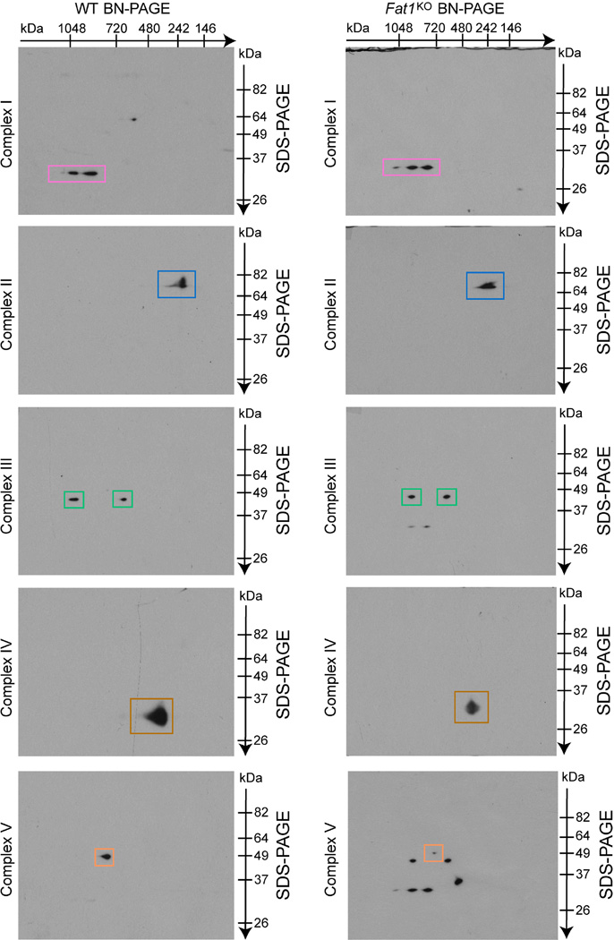 Extended Data Figure 7