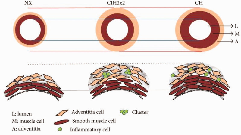 Fig. 3.