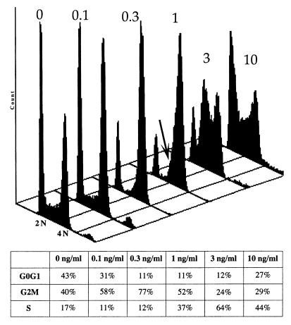 FIG. 3