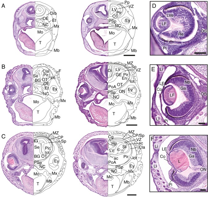 Fig 5