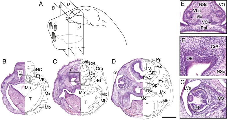 Fig 4