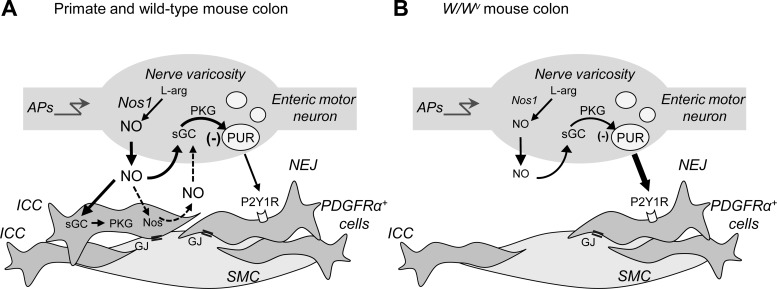 Fig. 10.