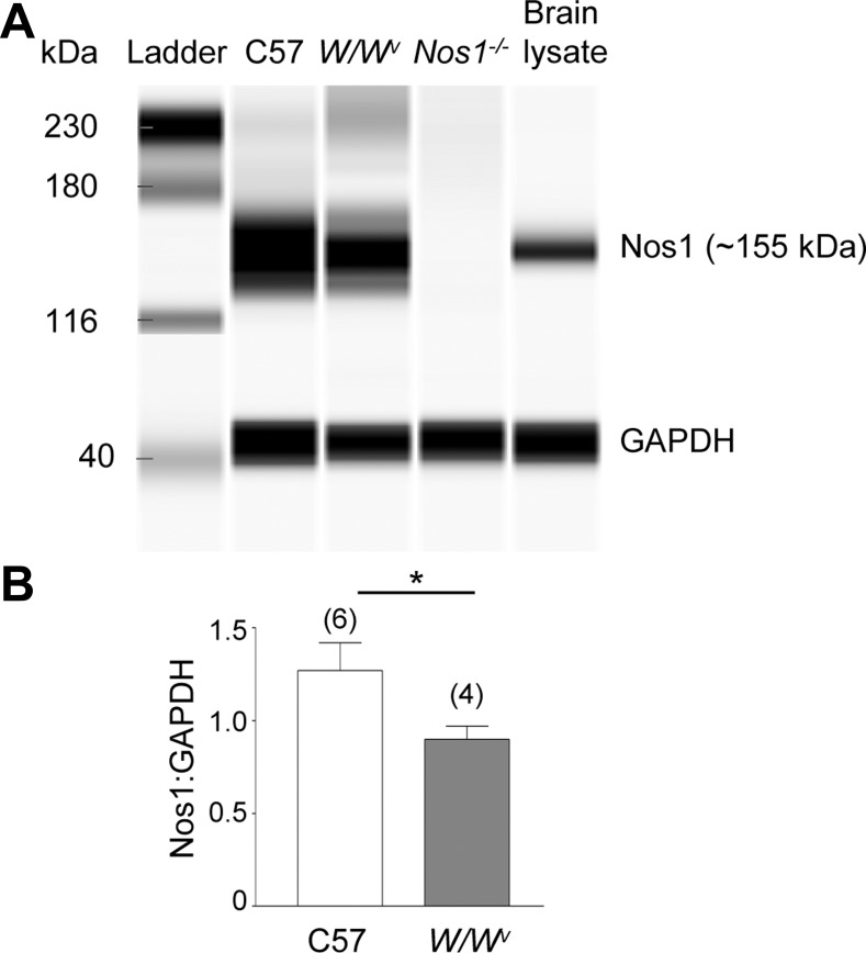 Fig. 9.