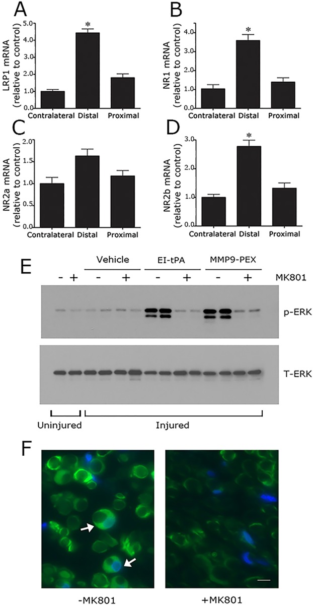 Fig. 8.