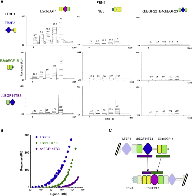 Figure 2