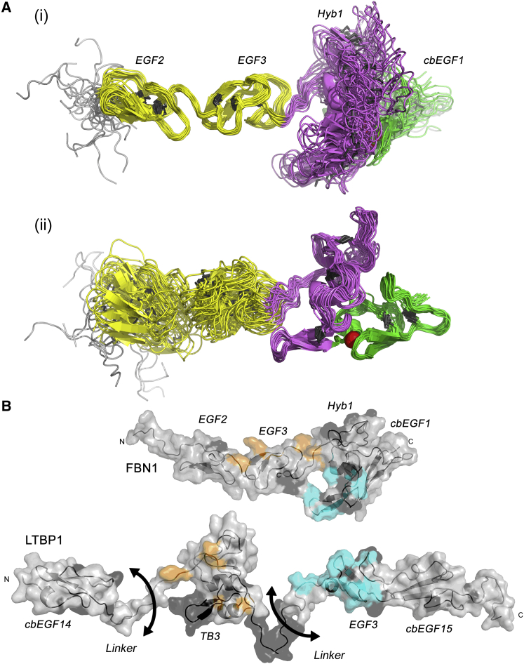 Figure 6