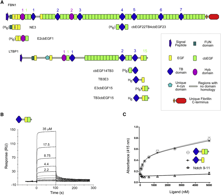 Figure 1