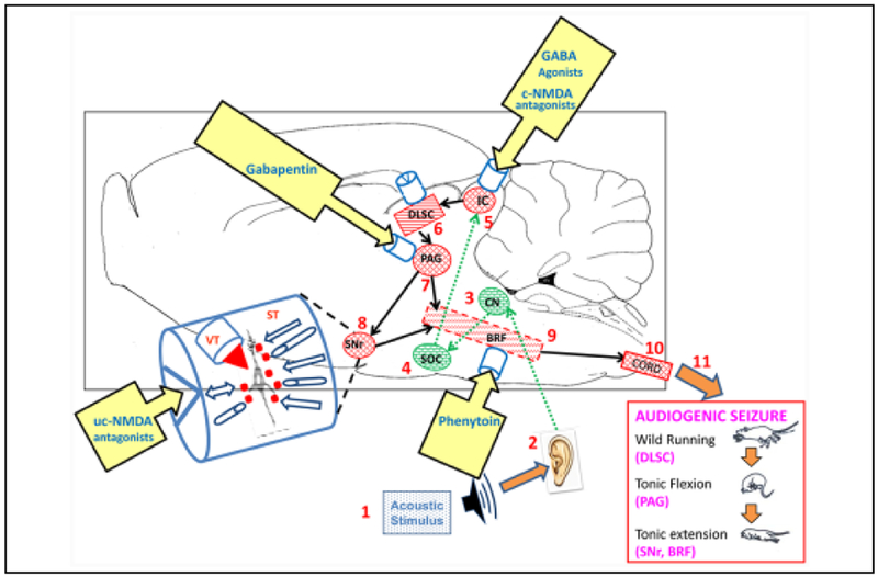 Figure 6.