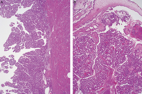 FIG. 7