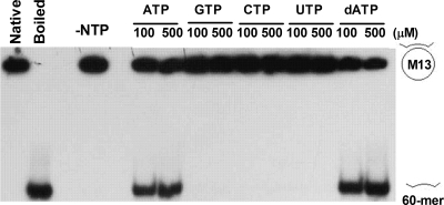 FIG. 9.