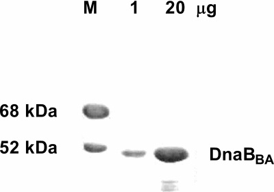 FIG. 3.