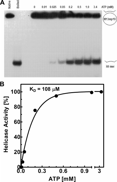 FIG. 8.