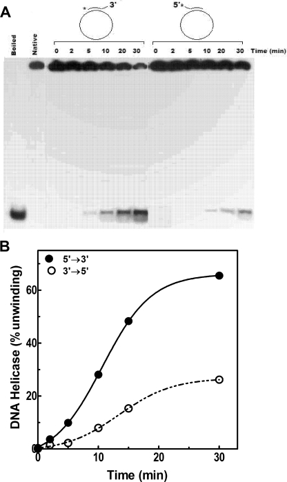 FIG. 10.