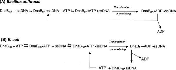 FIG. 12.