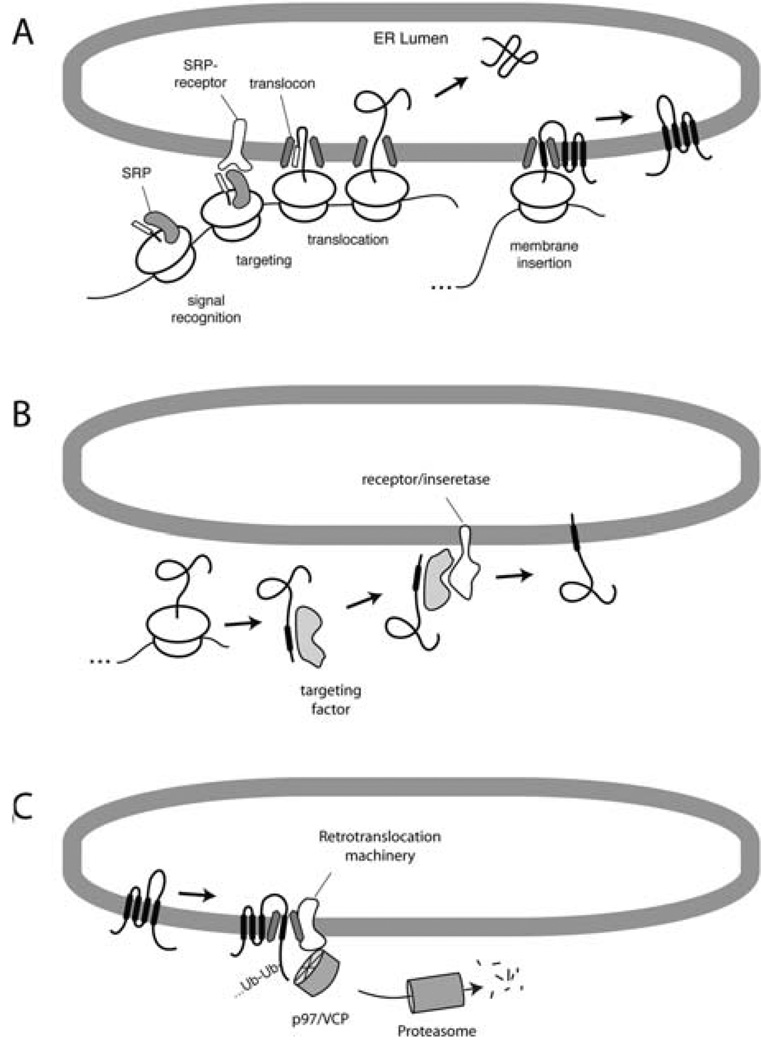 Fig. 20.1