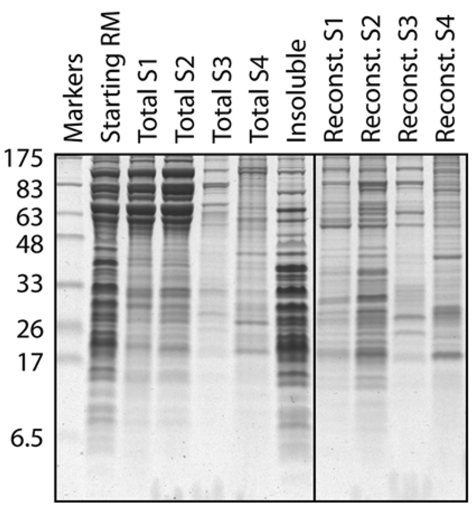 Fig. 20.4