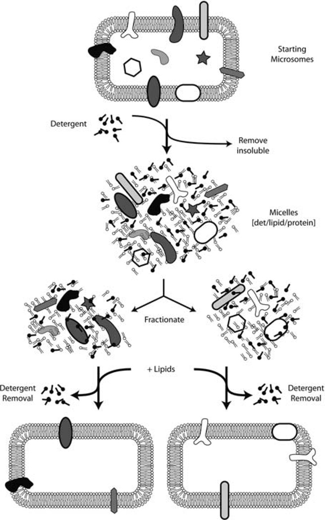 Fig. 20.3