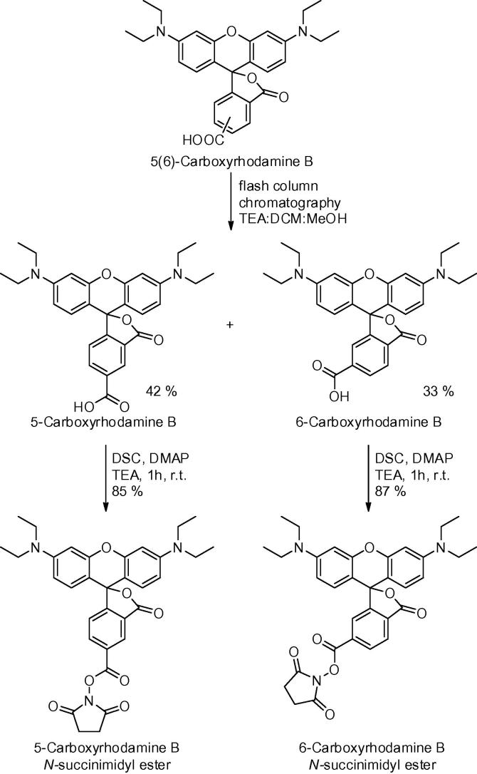 Scheme 2