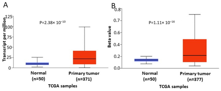 Figure 7