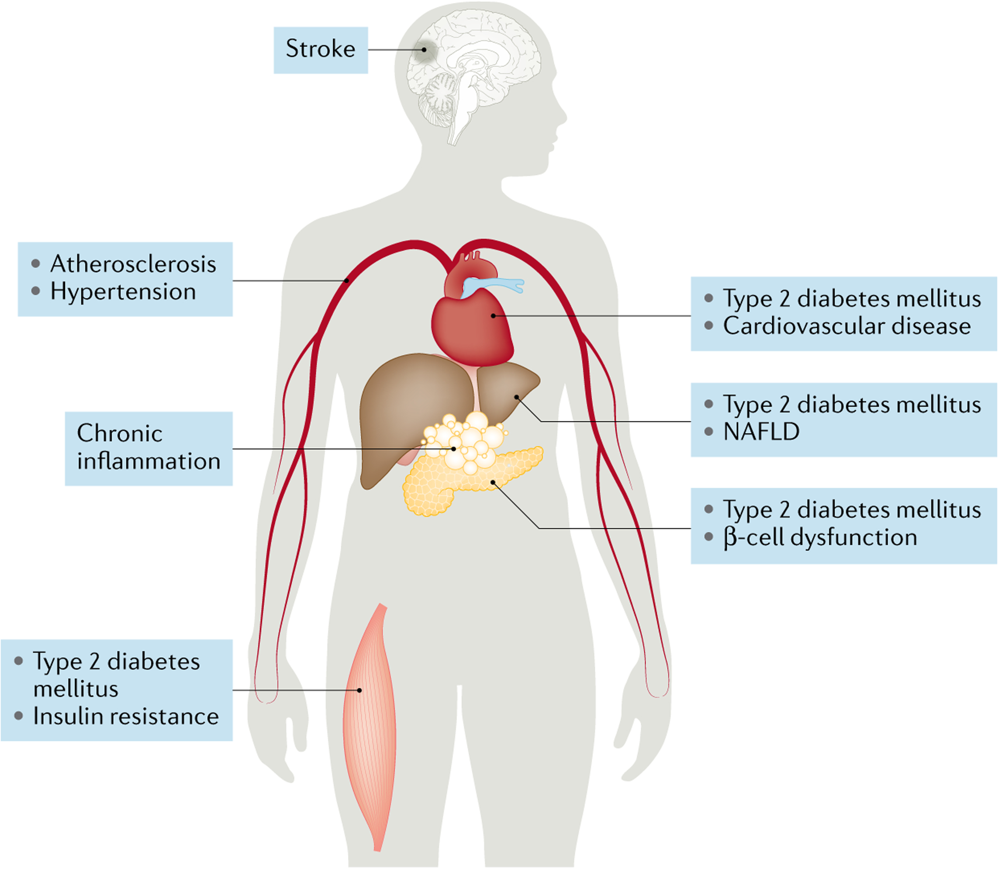 Fig. 2 |